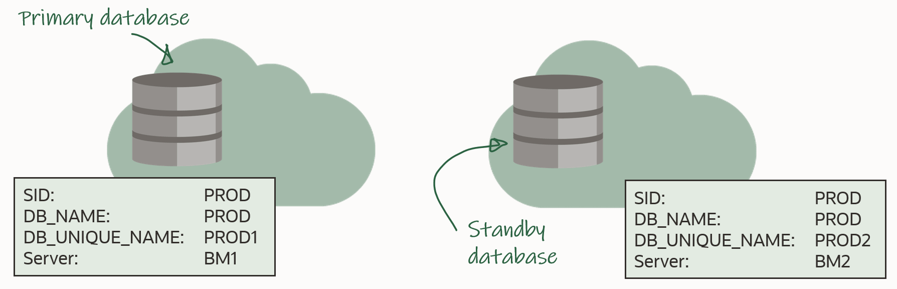 Overview of the environment that is used for this procedure