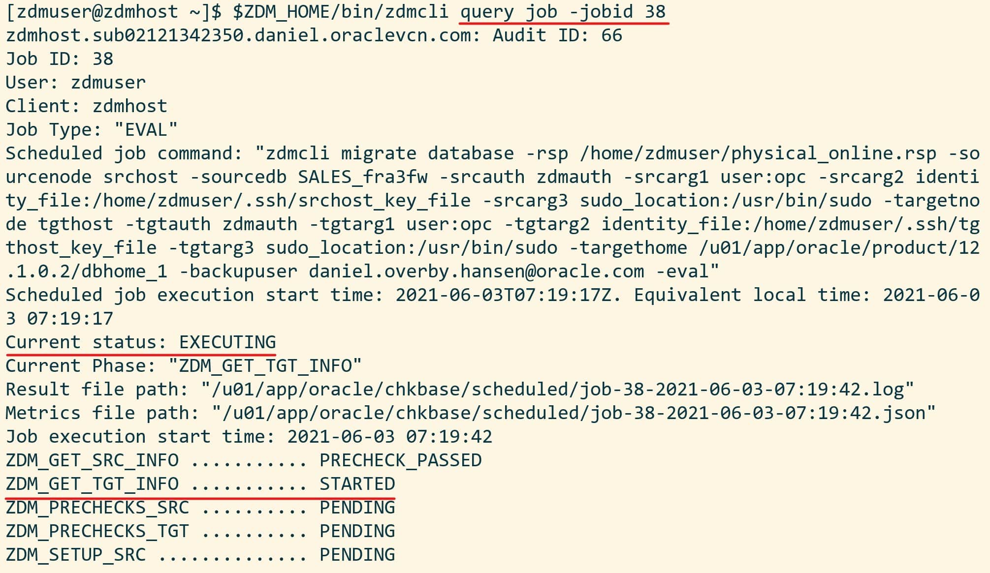 Output from zdmcli query job command