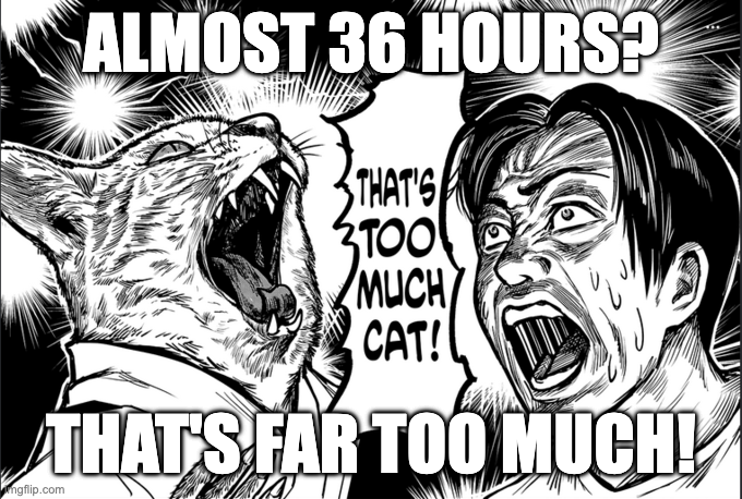 A meme showing a man and a cat shouting 36 hours is too much
